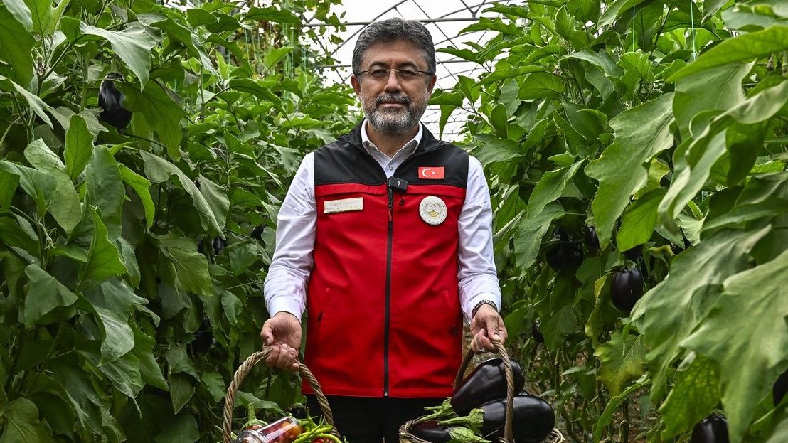 Daily Islamist tweet media