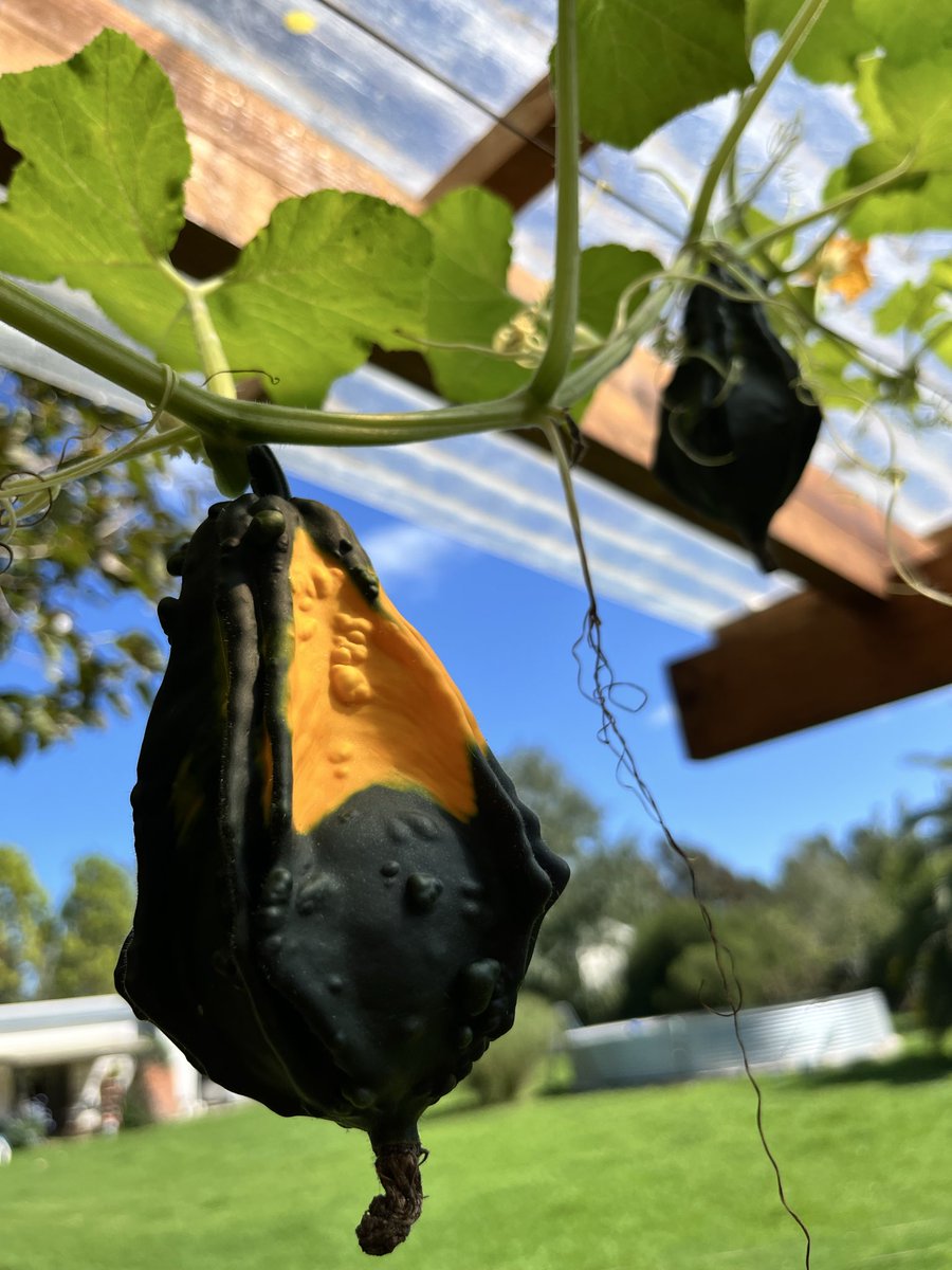 Mona y lisa tweet media