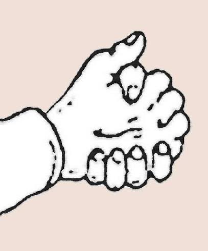 The Practical Misogynist tweet media