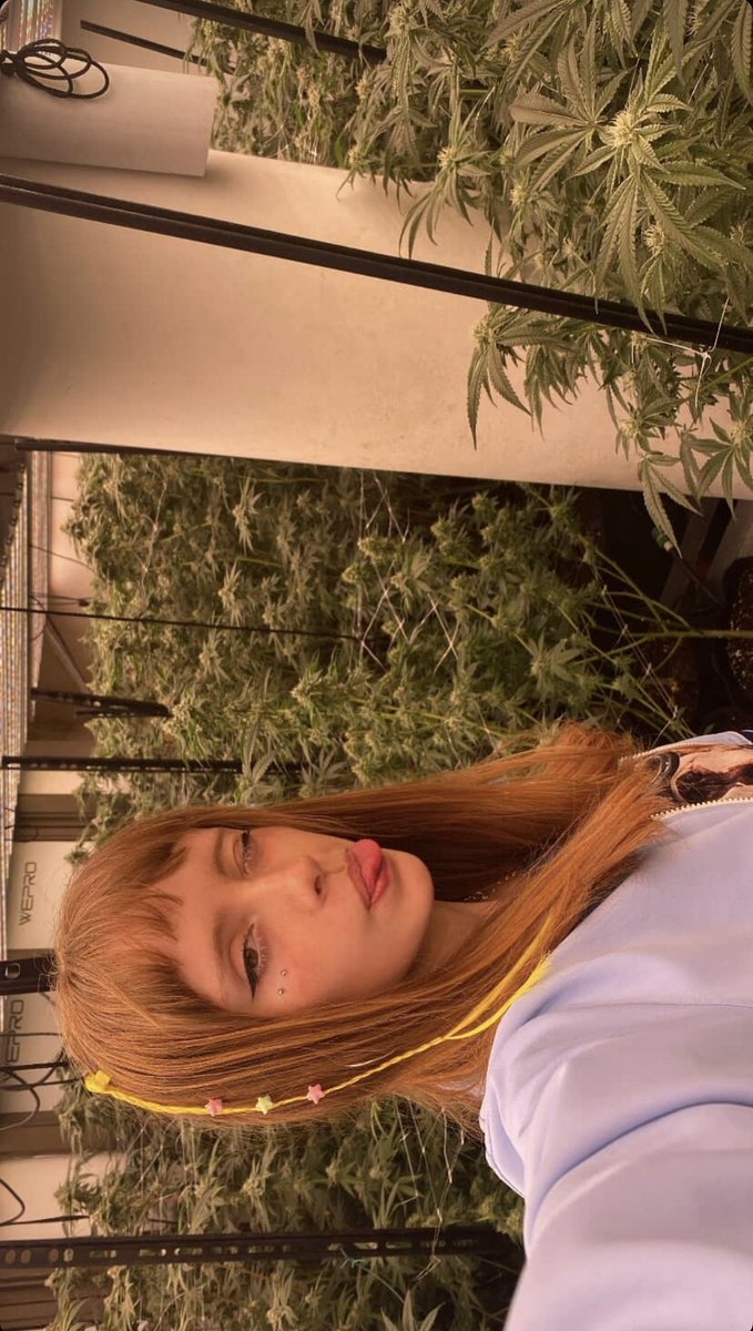 I've been misin my shory tweet media