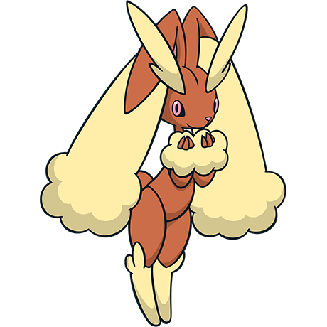 Brandy 🐻🥯🇵🇸 tweet media