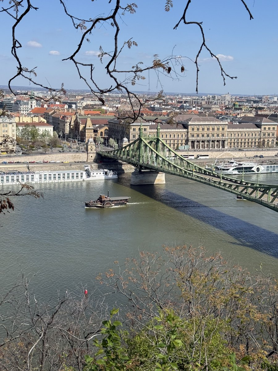 Songul Dogan Ger tweet media