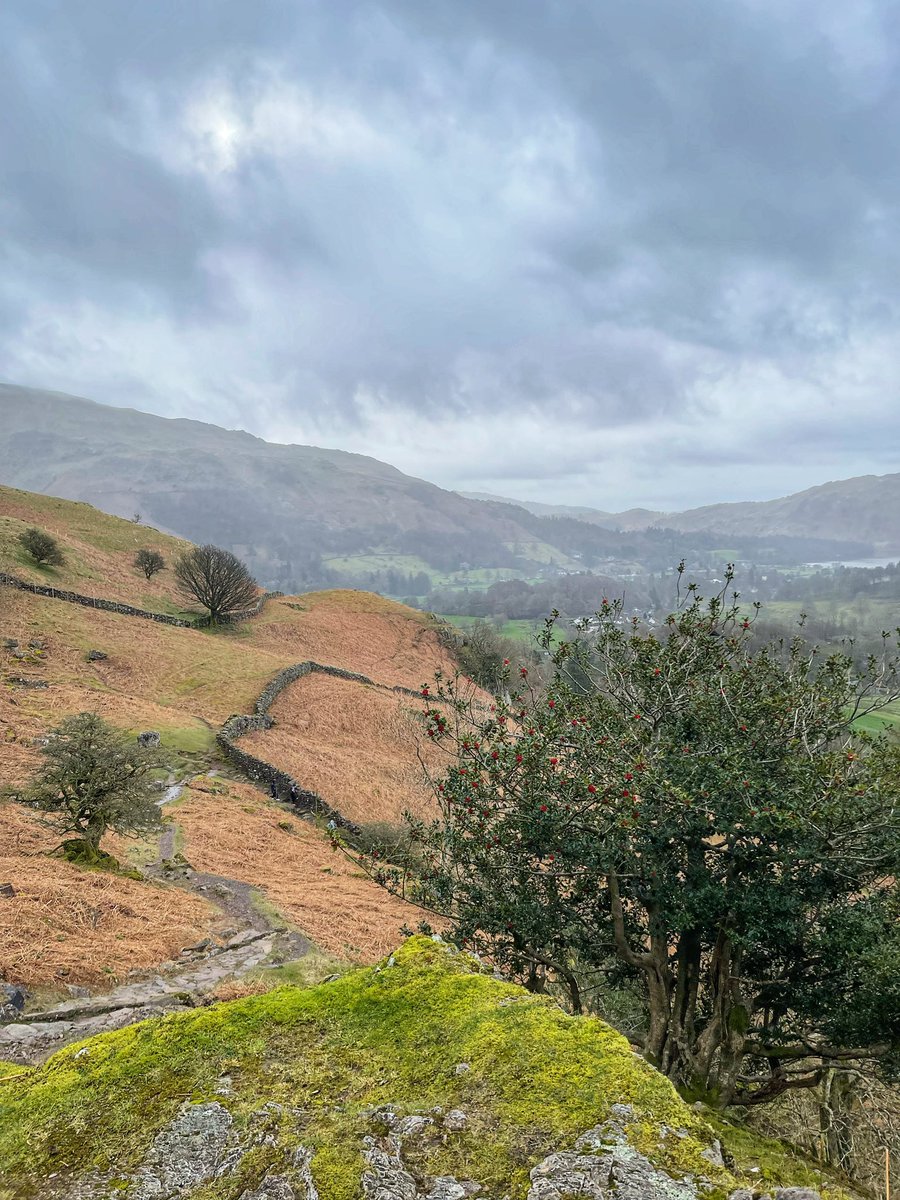 Lake District Fells 🇬🇧 tweet media