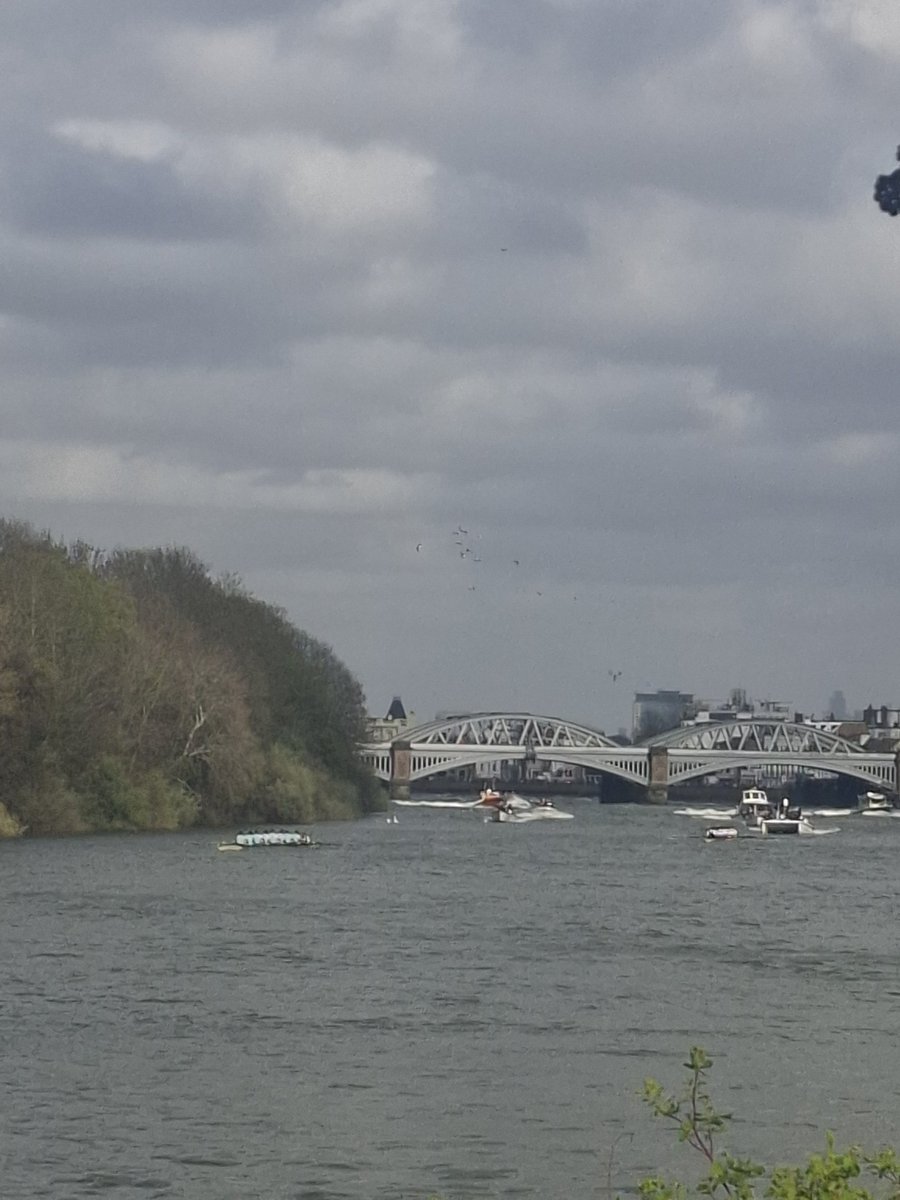 MoorlandsRugbyDad tweet media