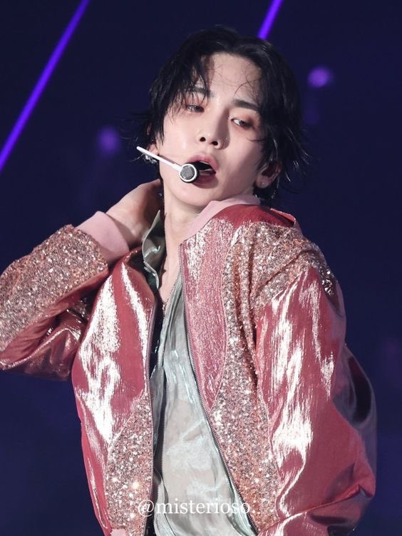 carms 🐹🦁 missing key tweet media