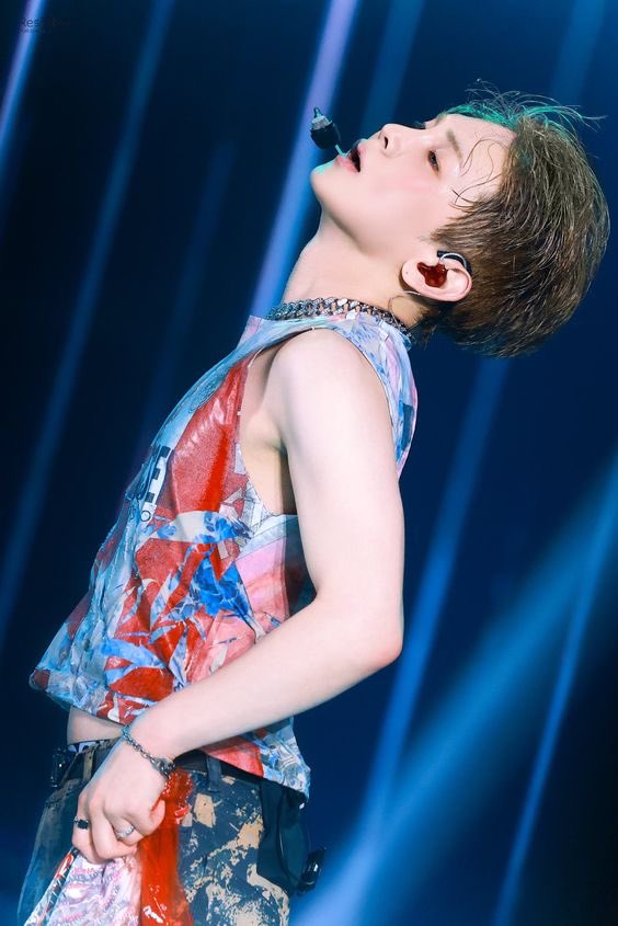 carms 🐹🦁 missing key tweet media