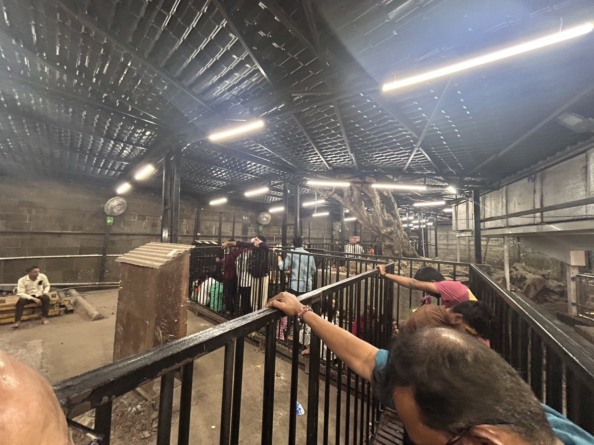2617Chandra's tweet photo. At Trimbakeshwar Temple,experienced one of the worst planning and management. Thrz no proper walkways, waiting area. No escape planning and washroom. No guards or workers to manage, saw a family crying help to get out of line @CMOMaharashtra @Dev_Fadnavis @RSSorg @DrMohanBhagwat https://t.co/0UIX4wTmfW