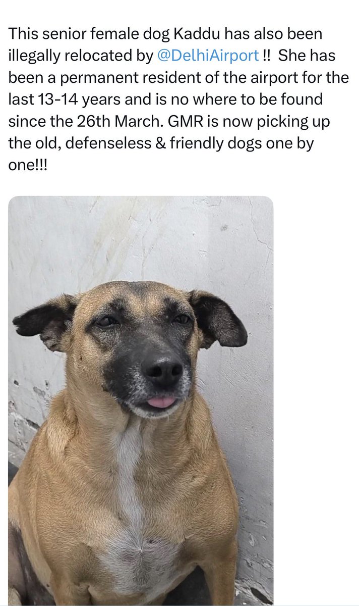 j.a.h.n.a.v.i._.i.y.e.r tweet media