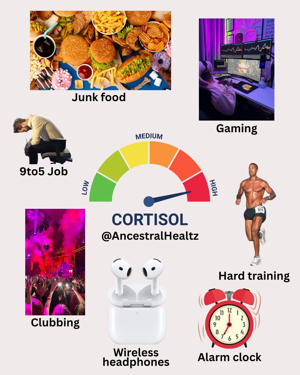 AncestralHealth☀️ tweet media