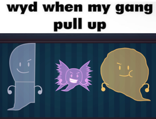 Bow Daily tweet media