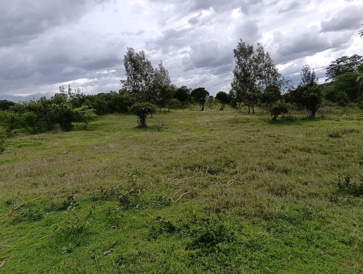 Laikipia Ranches tweet media