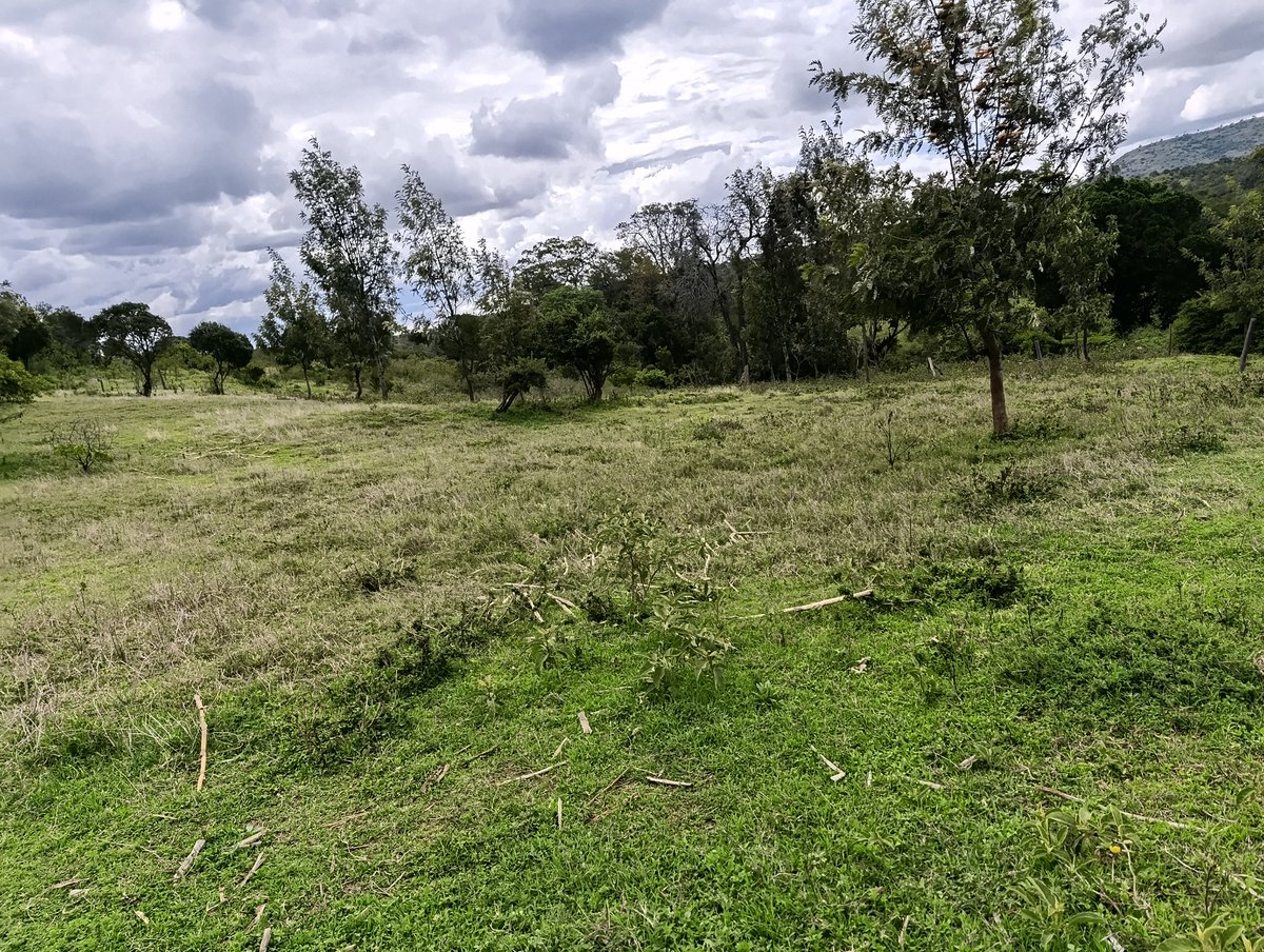 Laikipia Ranches tweet media