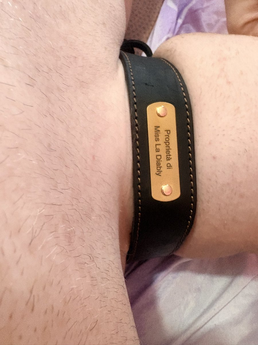 lamissdiabla's tweet photo. Il mio devoto oggi fa il burattino 🤡 #slave #devoto #prodomme #dogs #findom https://t.co/EZqFTz6Jlw