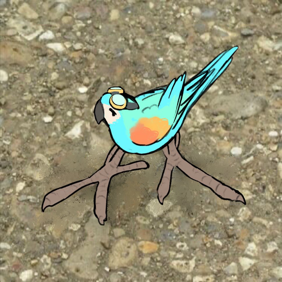 🫳🦜 tweet media