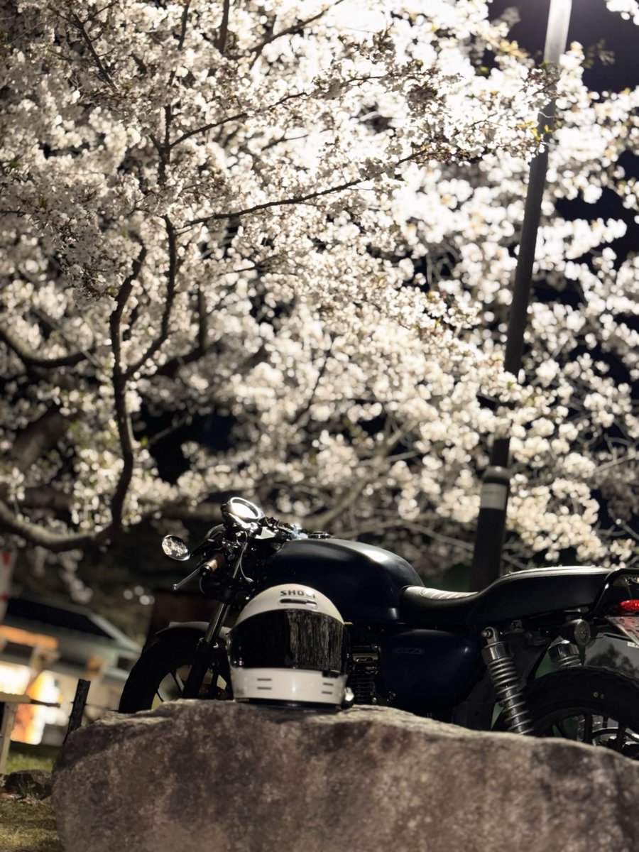 だい／義務ニキ tweet media