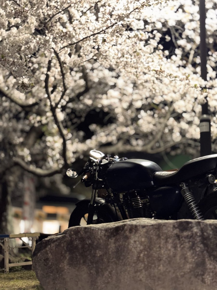 だい／義務ニキ tweet media