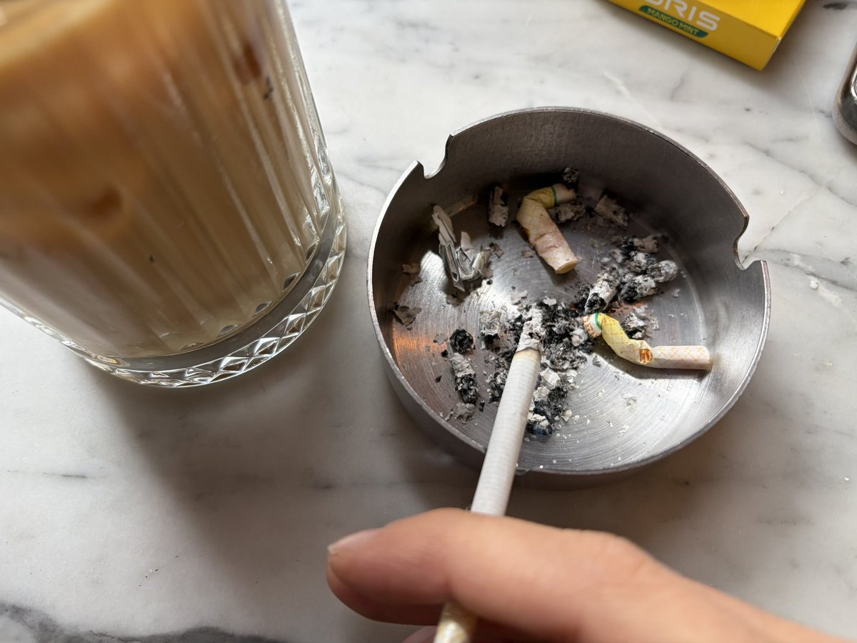 lili 🐈 tweet media