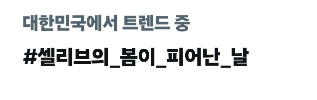 셀리브 해시태그 tweet media