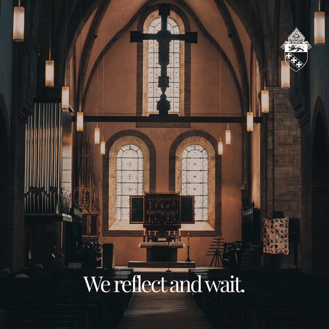 Diocese of Charleston tweet media