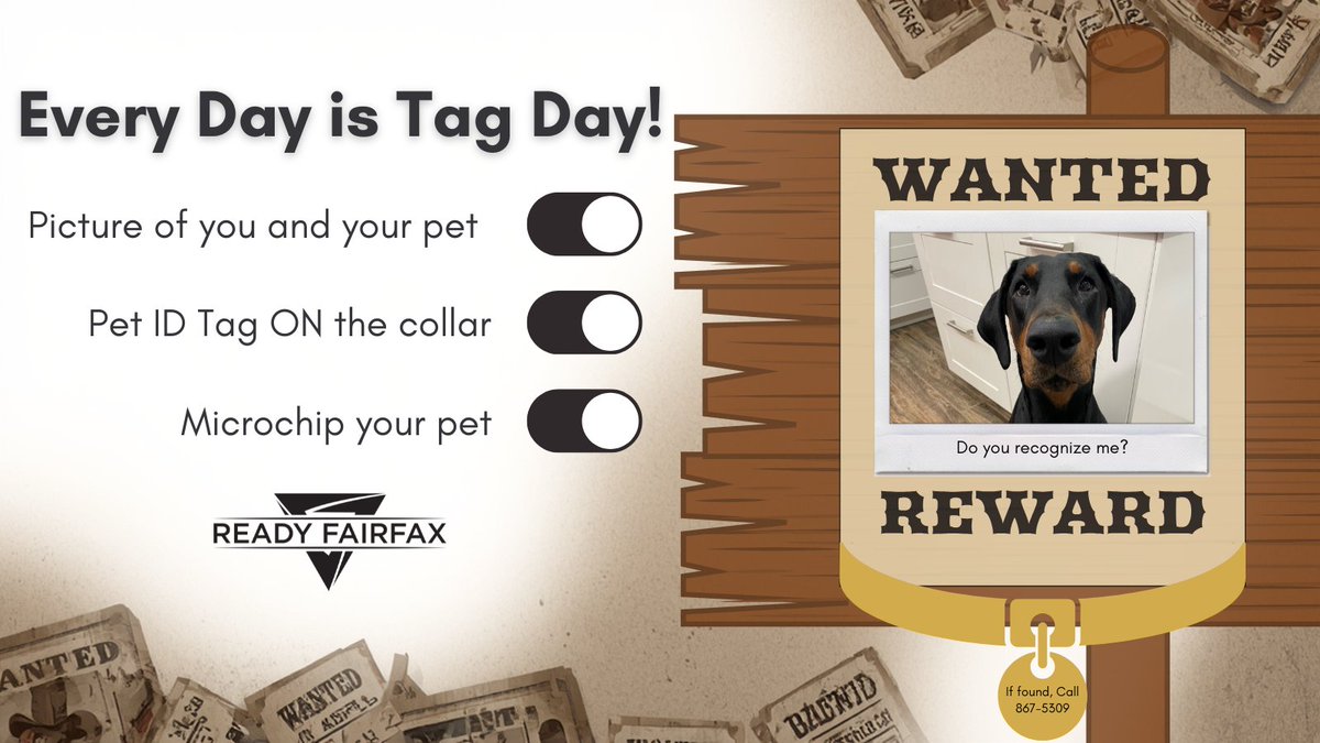 ReadyFairfax's tweet image. Celebrate Every Day Is Tag Day this April 4! 🐾 Make sure your pets are safe with proper ID tags or microchips—because a lost pet is a worried heart. Pet parents, shelters, and vets unite to educate, tag, and protect our furry friends! #TagDay #PetSafety #MicrochipYourPet
