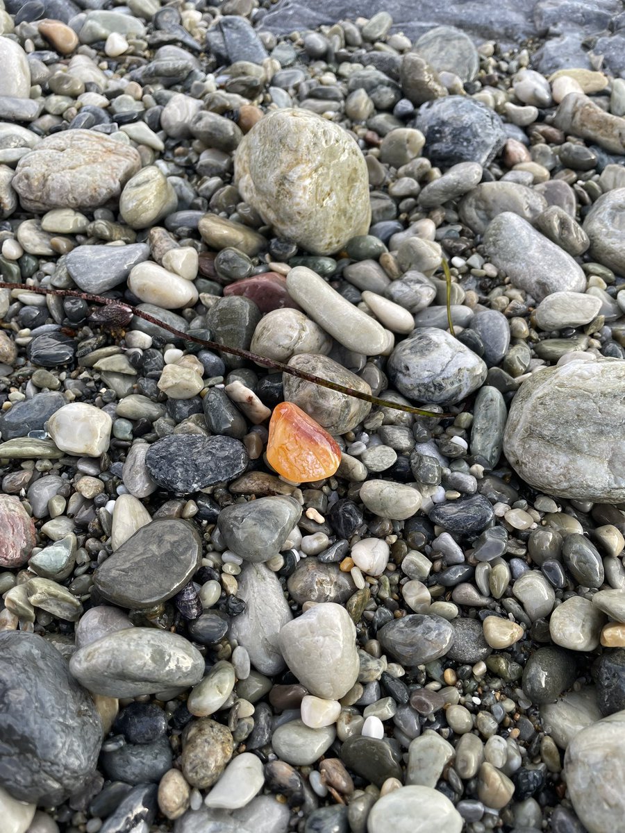 Your Daily Dose Of Hope💫 tweet media