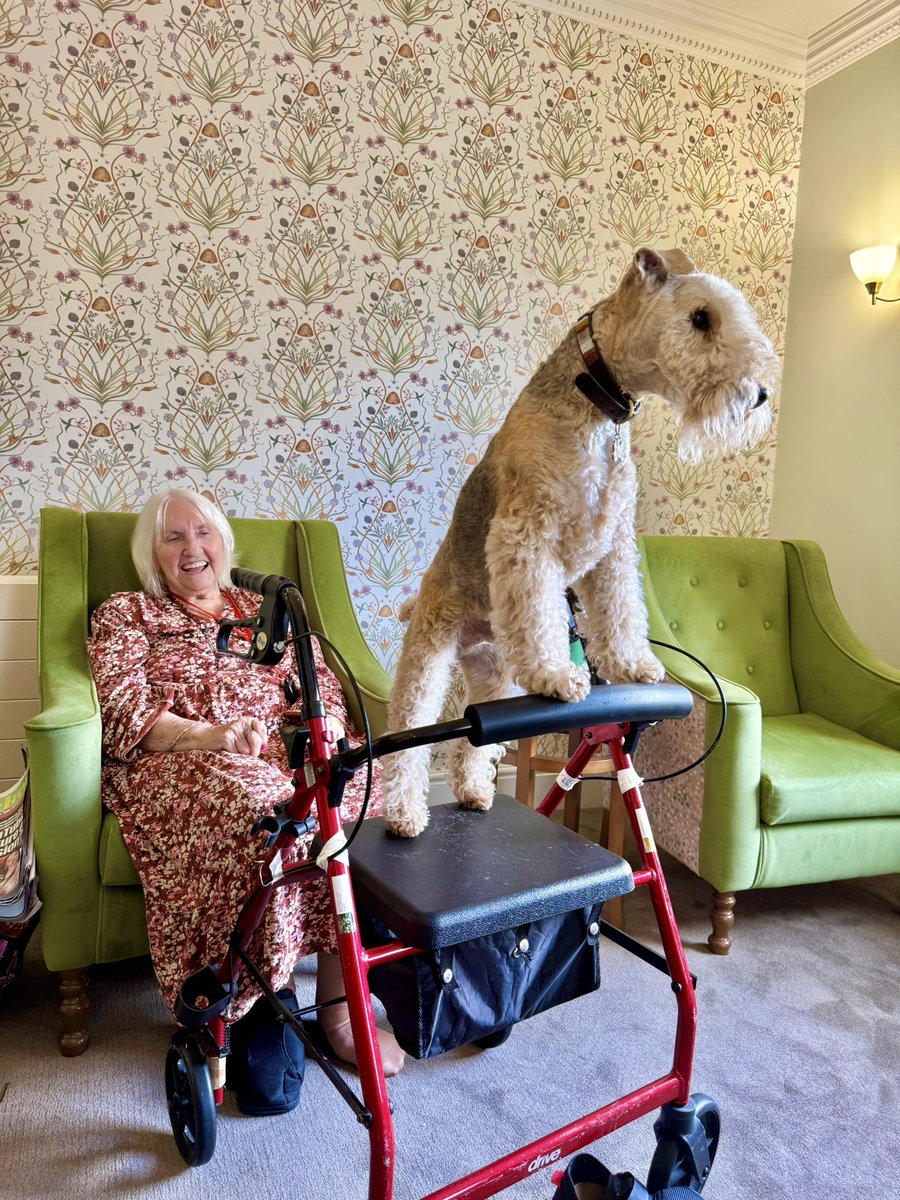 Bertie Lakeland tweet media