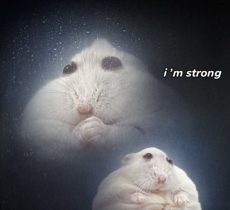 Self Control - by frank ocean tweet media