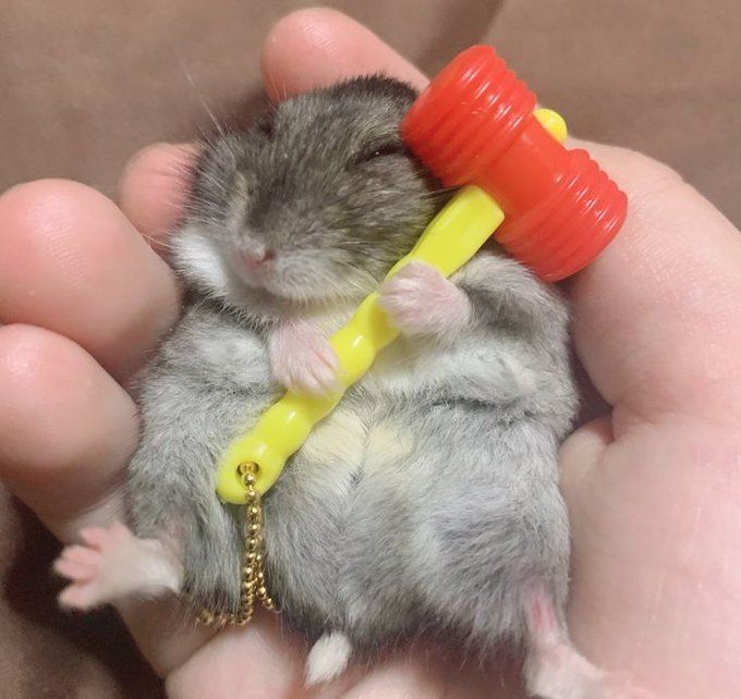 Self Control - by frank ocean tweet media