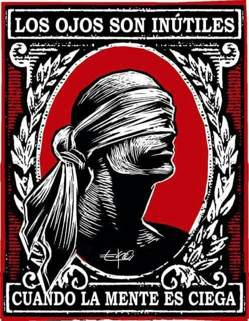 luisrodevia 🏄‍♂️ tweet media