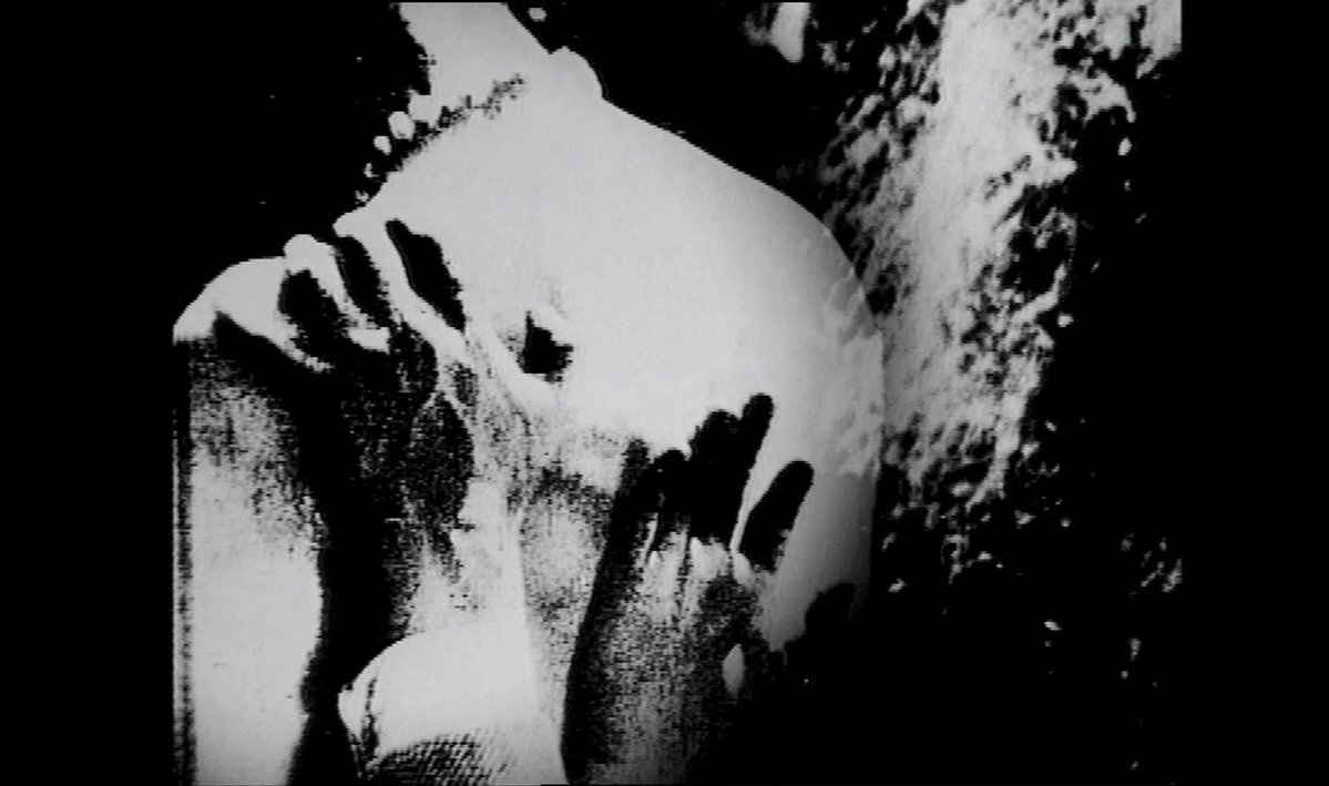 Le film est déjà commencé? tweet media