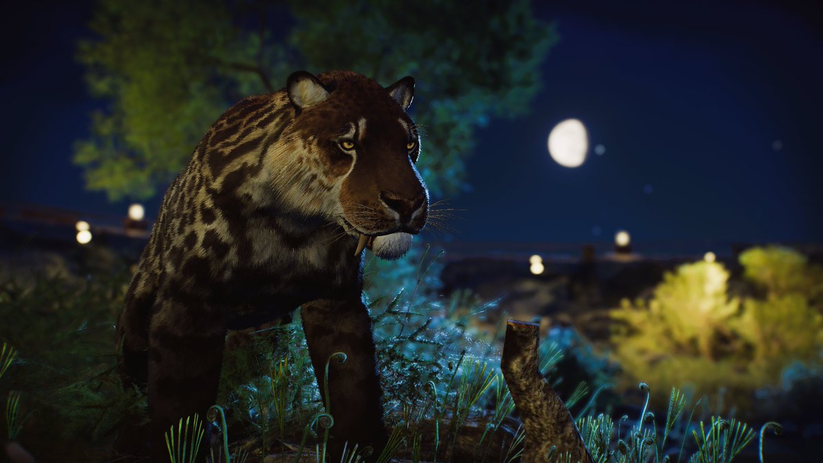 Crytivo's tweet photo. Moonlight changes everything… 🌙 https://t.co/LNAbohC2U4