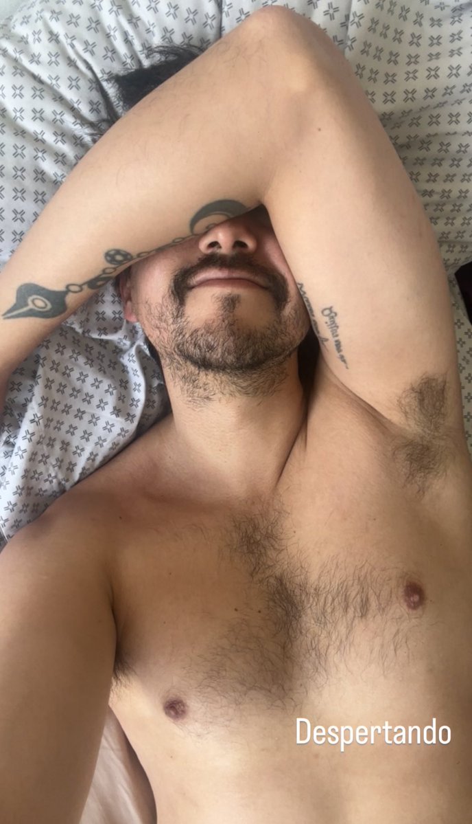 Pico Navarro tweet media