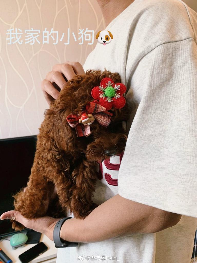 A phoenix and a dragon :) tweet media