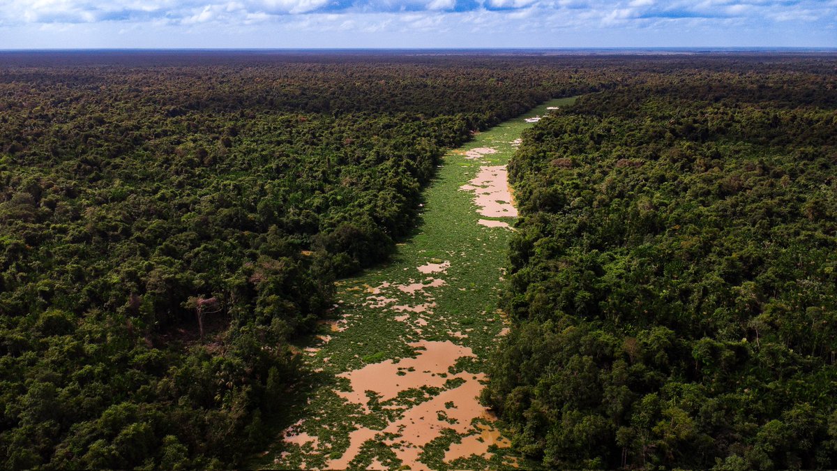 tineophoto's tweet photo. Delta del Orinoco 

@tineophoto https://t.co/Q1OBqVX7Q3