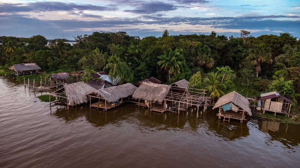 tineophoto's tweet photo. Delta del Orinoco 

@tineophoto https://t.co/Q1OBqVX7Q3