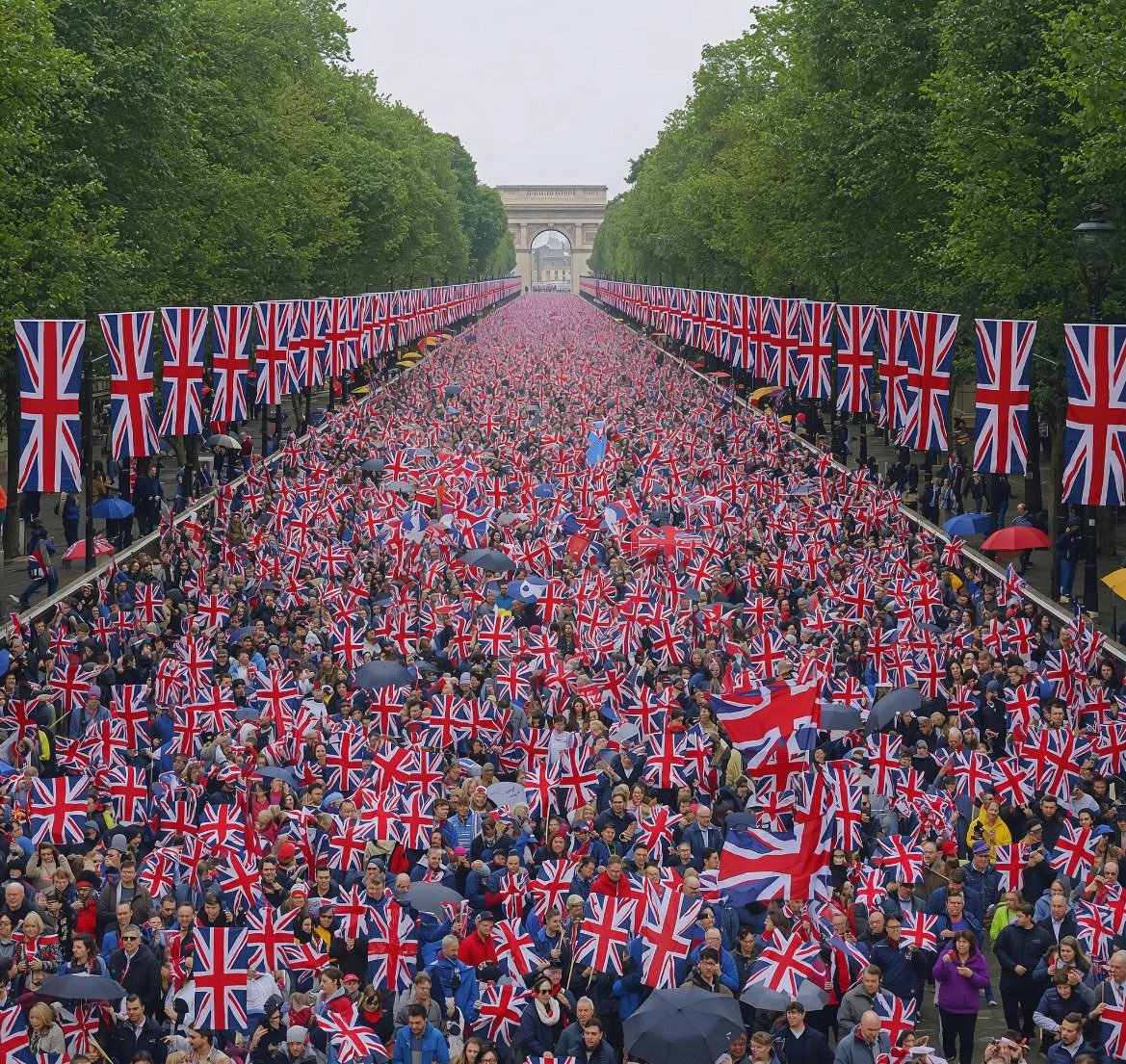 SharkFL239 tweet media