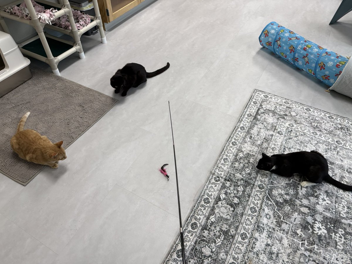 FloridaBoy☀️ tweet media