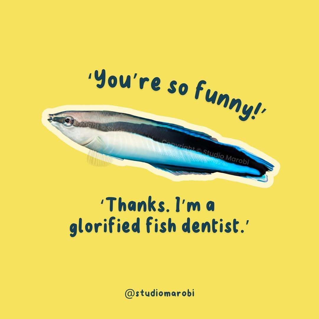 World Ocean Day tweet media