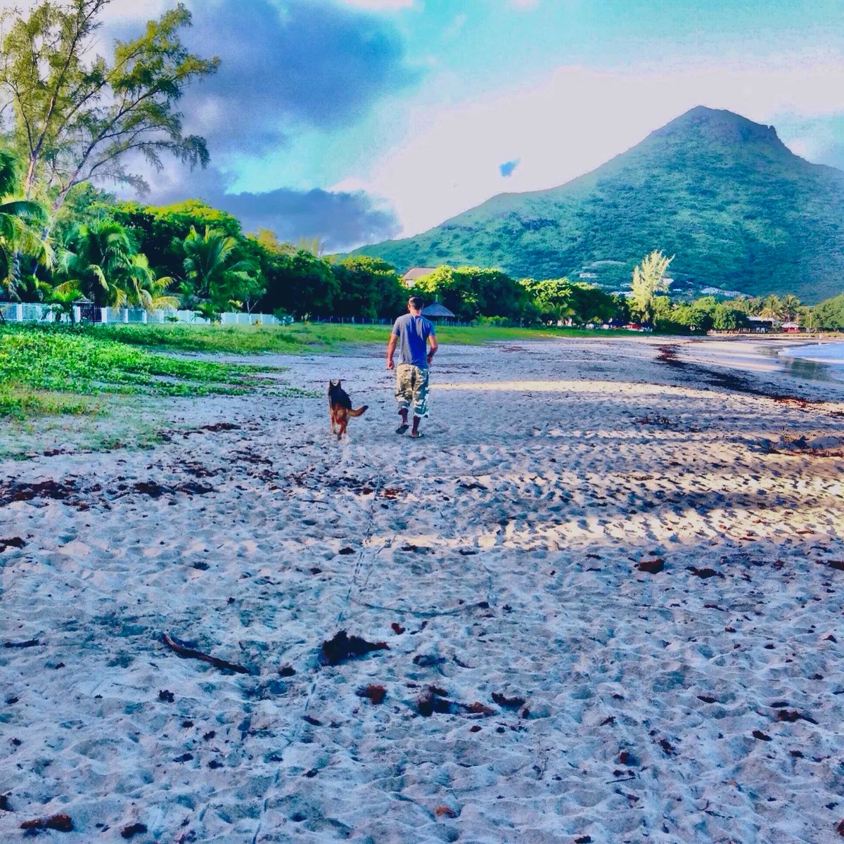 AnitaBacha's tweet image. #vss365 #sand #haiku 

Early morning stroll 
Four paws and two feet 
Prints in the soft sand

📸my photo