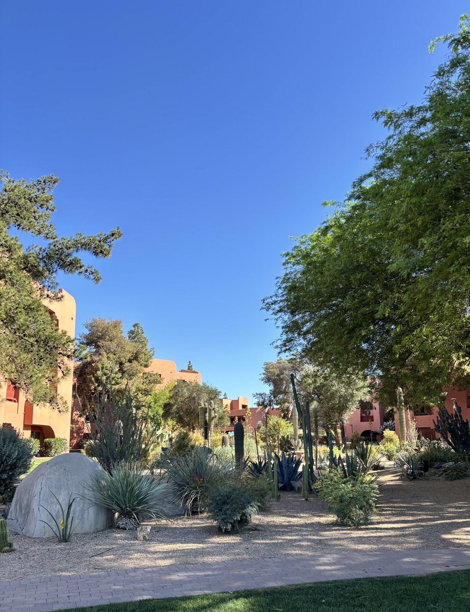 TrishaLTruex's tweet photo. Paradise Valley, AZ 📍🌵 https://t.co/LM6wuby7yU