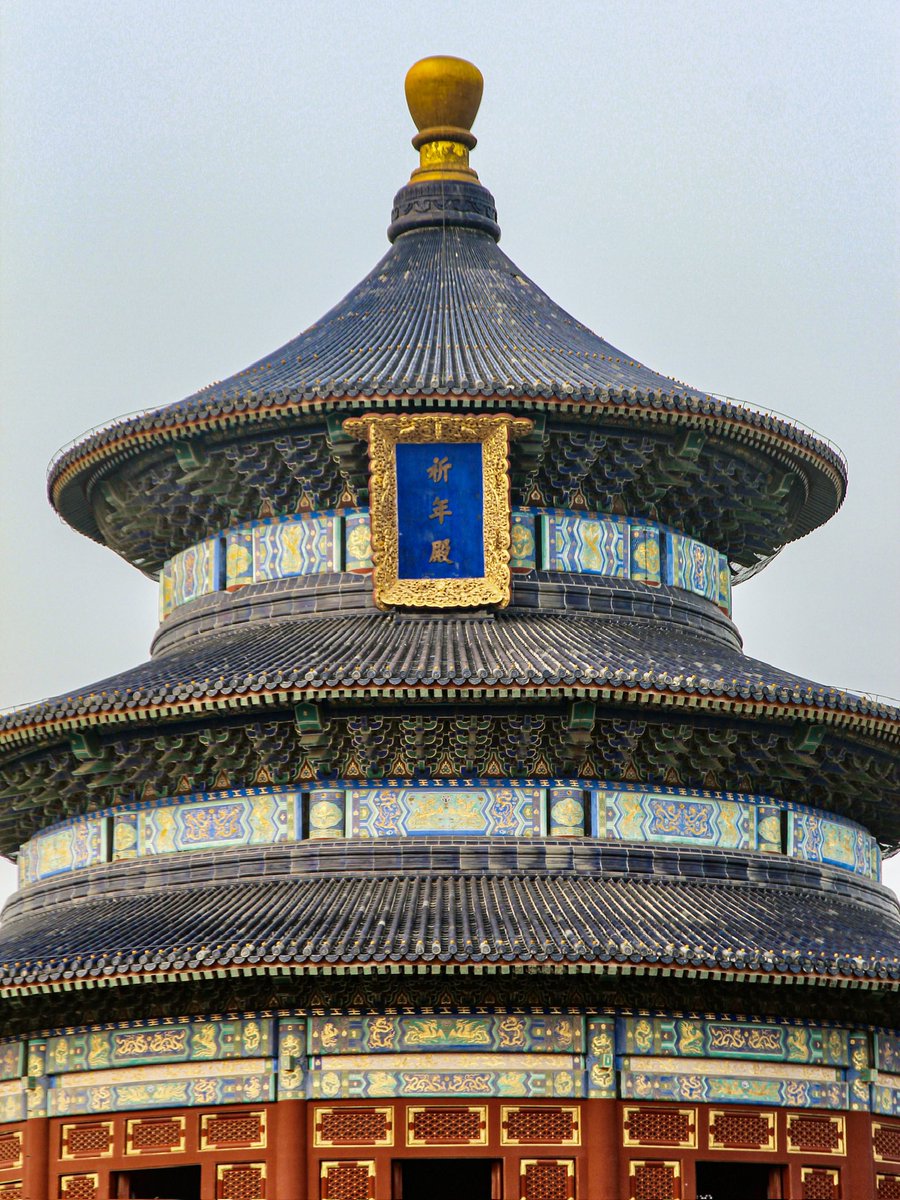 Globe Tucker tweet media