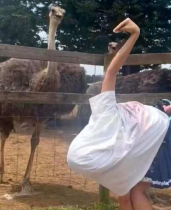 مــیاں سربلــند ہنجراء tweet media