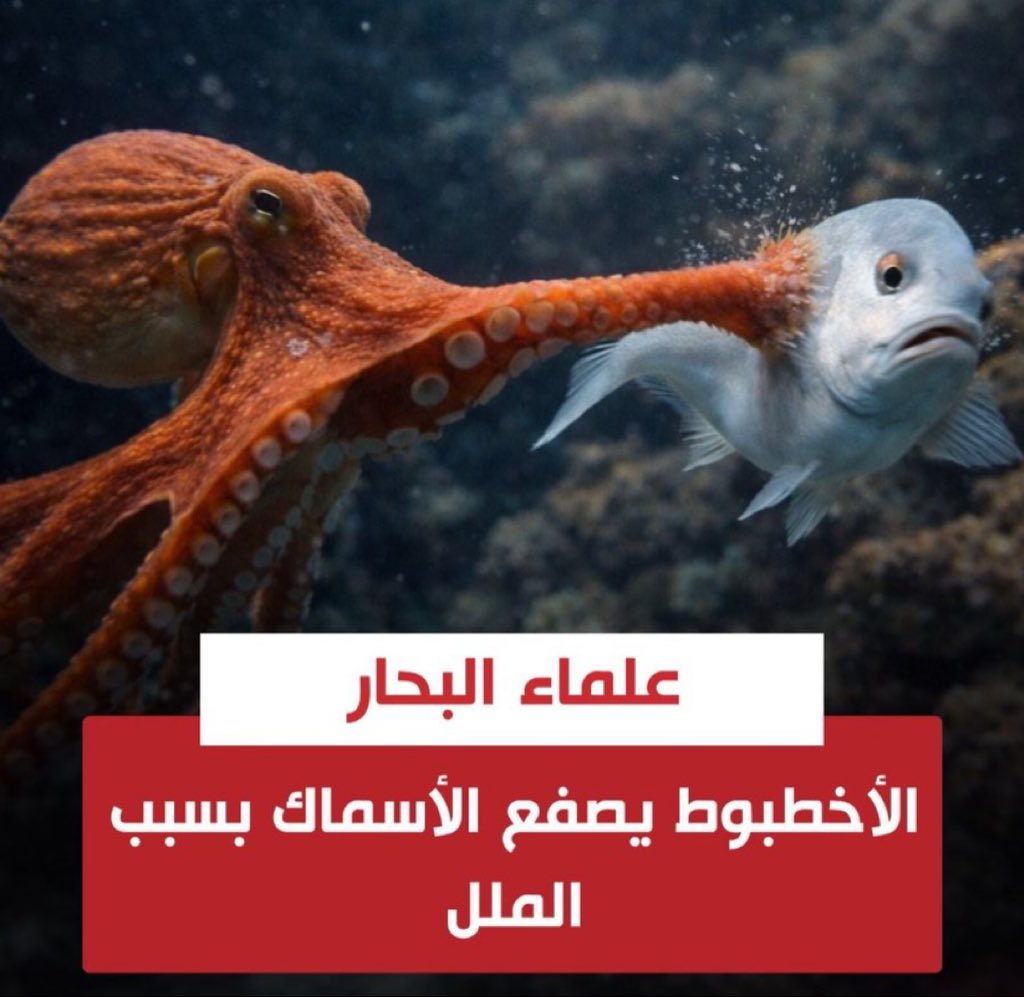 abdulrahman tweet media