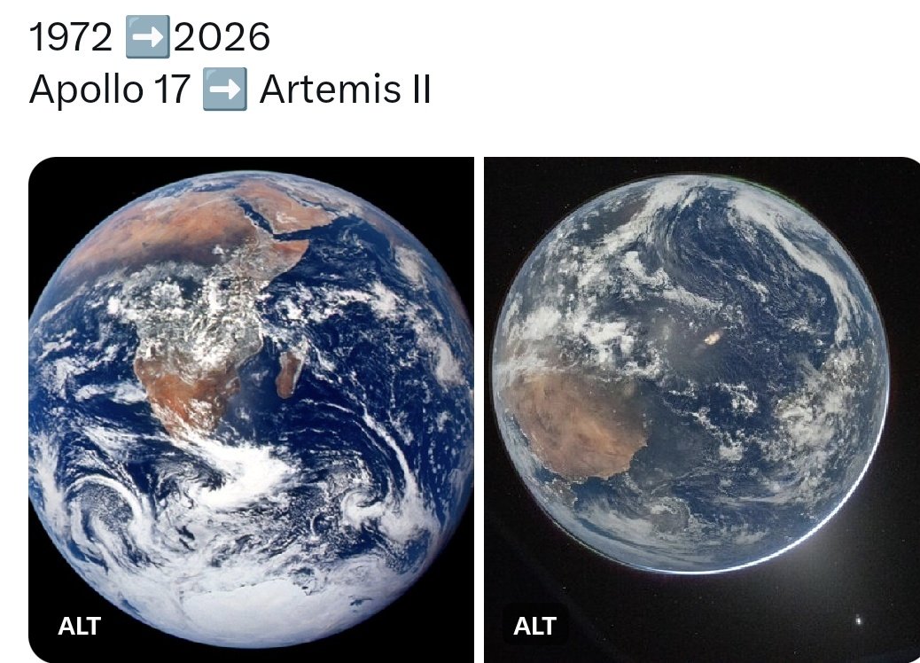 Алекс Гуфовский tweet media