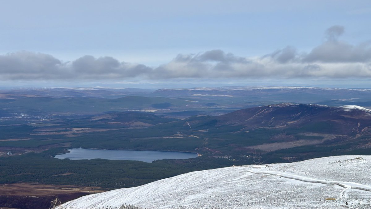 Debby Thorne tweet media