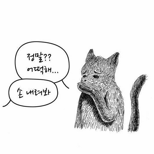 โญ๏ธ๐ฆ tweet media