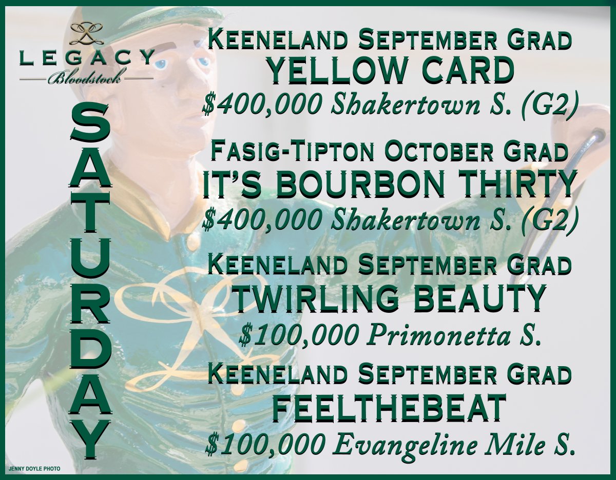 legacybloodstoc's tweet image. 🟨 🟩 What a Saturday!
Best of luck to all the #LegacyBuilders 🏇 🏆 running in Stakes today!
🍀🍀🍀🍀