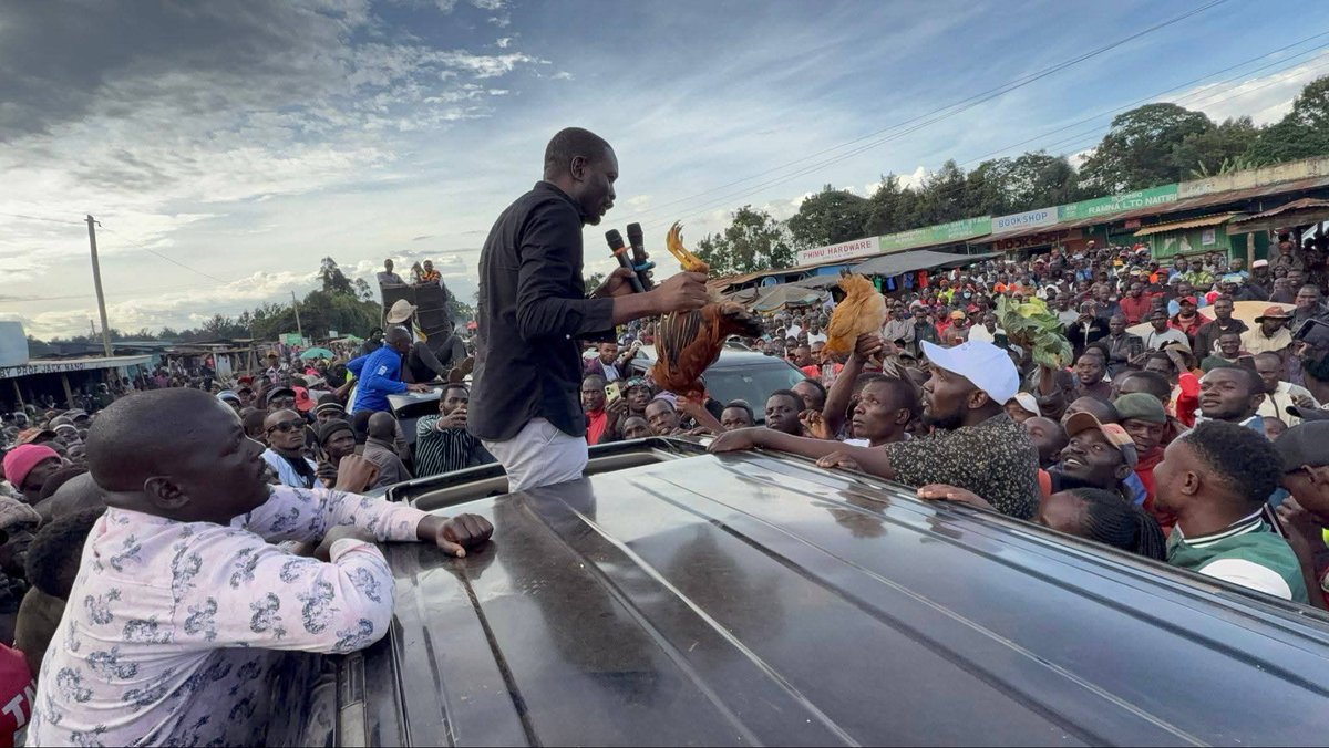 Adel On Politics tweet media