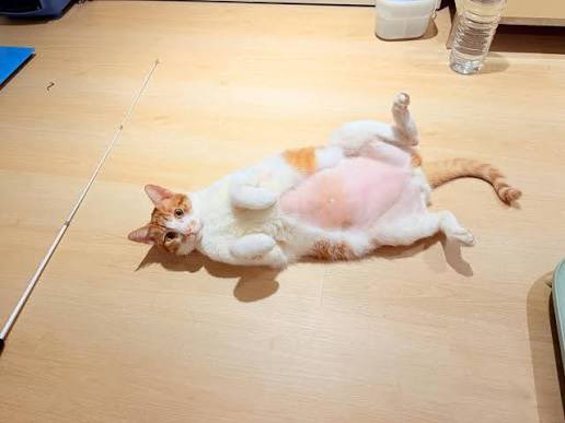 𝐃𝐞𝐬𝐢𝐫𝐞 tweet media