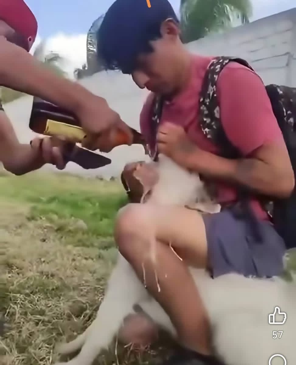 Luis Gabriel Velázquez tweet media